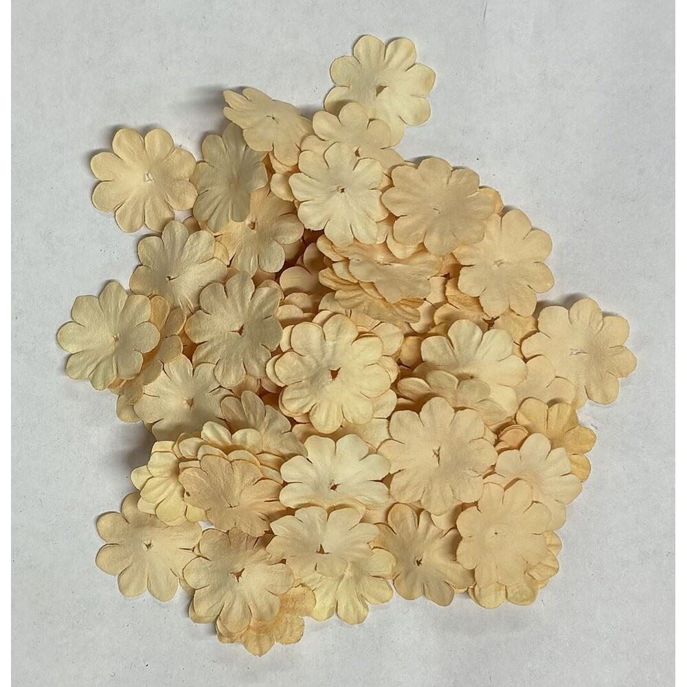 100 Fiori di carta Crema