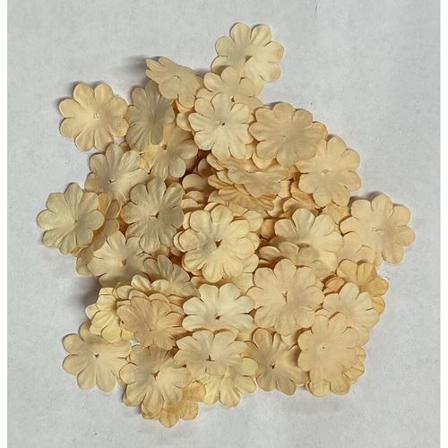 100 Fiori di carta Crema