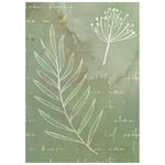 8 Carte di riso in A6 Backgrounds Flowers and Poems