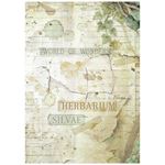 8 Carte di riso in A6 Backgrounds Herbarium Silvae