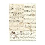 8 Carte di riso in A6 Backgrounds Music