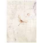 8 Carte di riso in A6 Backgrounds Quiet Days