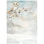 8 Carte di riso in A6 Backgrounds The Owl's House