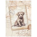 8 Carte di riso in A6 Quiet Days