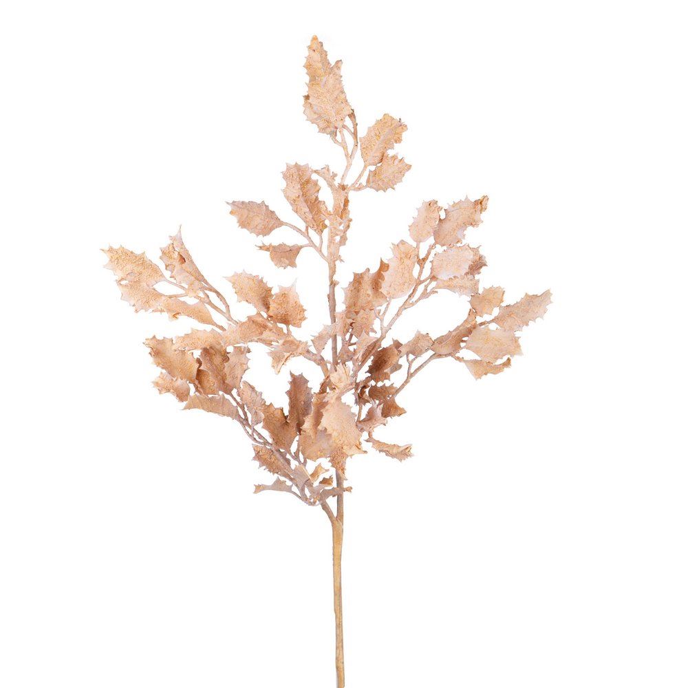 Agrifoglio colore gold white washed