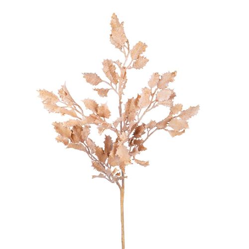 Agrifoglio colore gold white washed