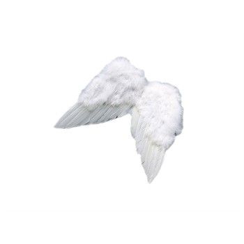 Ali d'Angelo bianche cm 14