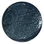Black Sparkling Coat