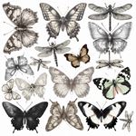 Blocchi di Carte Scrap Typographic Fussy Cut Pad cm 15 x 15