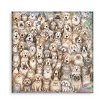 Blocco da 22 carte Scrap Single Face Furry Friends 2