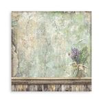 Blocco da 22 carte Scrap Single Face Herbarium Silvae 20 x 20