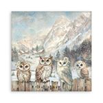 Blocco da 22 carte Scrap Single Face The Owl's House 20 x 20