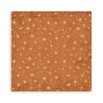 Blocco di Carte Scrap Backgrounds Silent Night cm 20 x 20