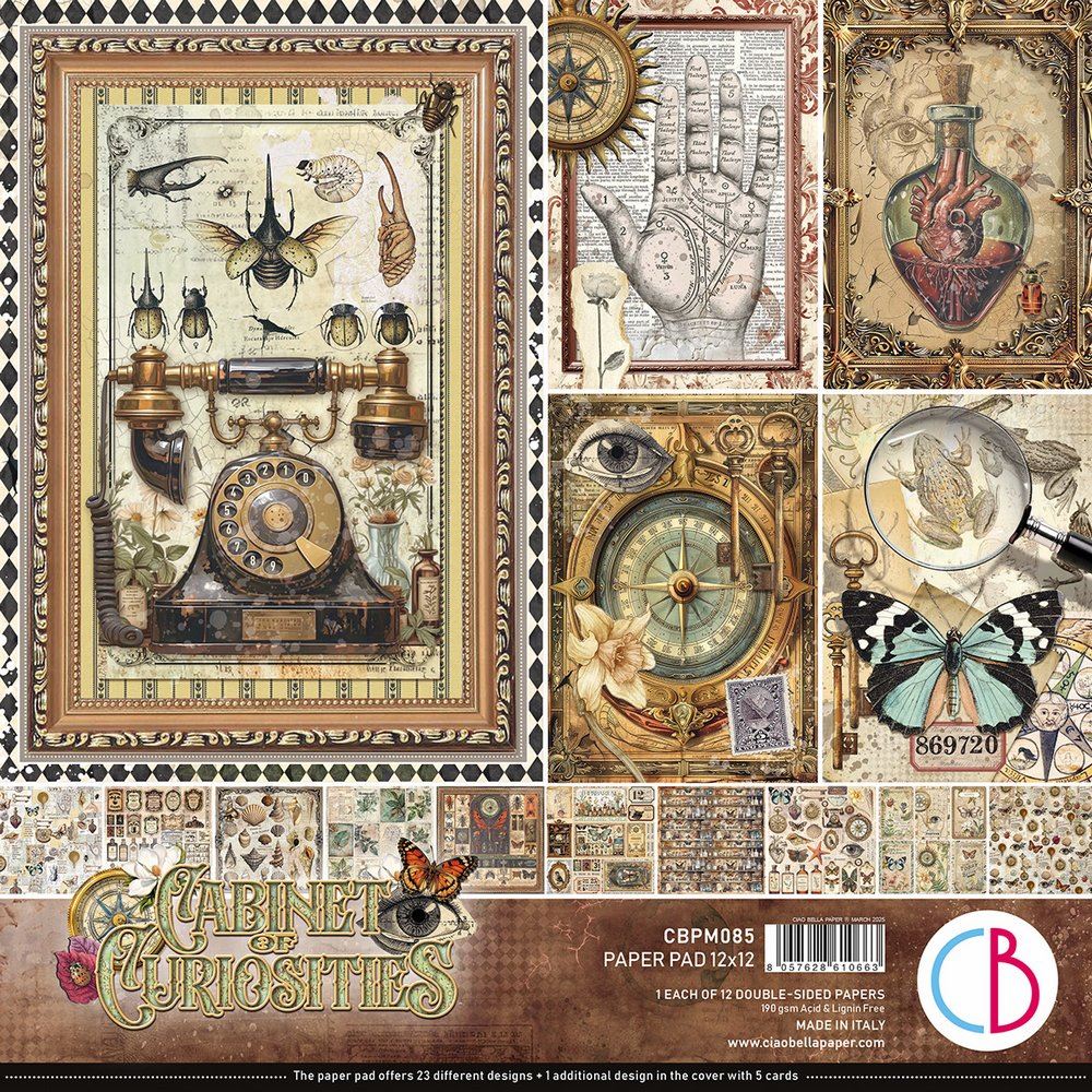 Blocco di Carte Scrap Cabinet of Curiosity cm 30 x 30