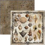 Blocco di Carte Scrap Cabinet of Curiosity cm 30 x 30