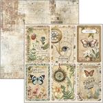 Blocco di Carte Scrap Cabinet of Curiosity cm 30 x 30