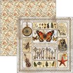 Blocco di Carte Scrap Cabinet of Curiosity cm 30 x 30