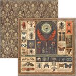 Blocco di Carte Scrap Cabinet of Curiosity cm 30 x 30
