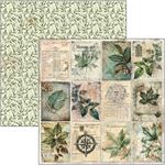 Blocco di Carte Scrap Cabinet of Curiosity cm 30 x 30