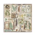 Blocco di Carte Scrap Herbarium Silvae cm 20 x 20