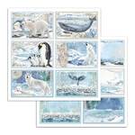 Blocco di carte Scrap Arctic Antartic