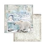 Blocco di carte Scrap Arctic Antartic cm 20 x 20