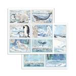 Blocco di carte Scrap Arctic Antartic cm 20 x 20