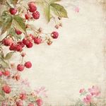 Blocco di carte Scrap Summer Garden cm 15 x 15