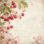 Blocco di carte Scrap Summer Garden cm 30x30