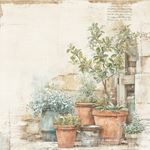 Blocco di carte Scrap The Pottery cm 20 x 20
