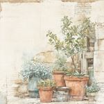 Blocco di carte Scrap The Pottery cm 30x30