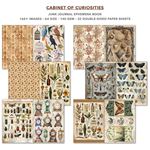 Junk Journal & Ephemera Book Cabinet of Curiosities A4
