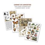 Junk Journal & Ephemera Book Cabinet of Curiosities A4