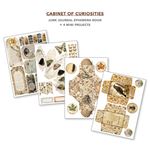 Junk Journal & Ephemera Book Cabinet of Curiosities A4
