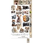 Blocco di carte scrap Cats Extras Set cm 15 x 31