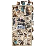 Blocco di carte scrap Cats Extras Set cm 15 x 31