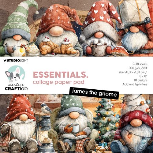 Blocco di carte scrap James the Gnome