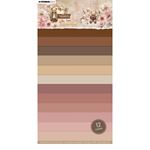 Blocco di cartoncini colorati Teddy's Tea Time Tinta Unita