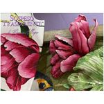 Bordo in tessuto con Tulipani per Sospeso Trasparente