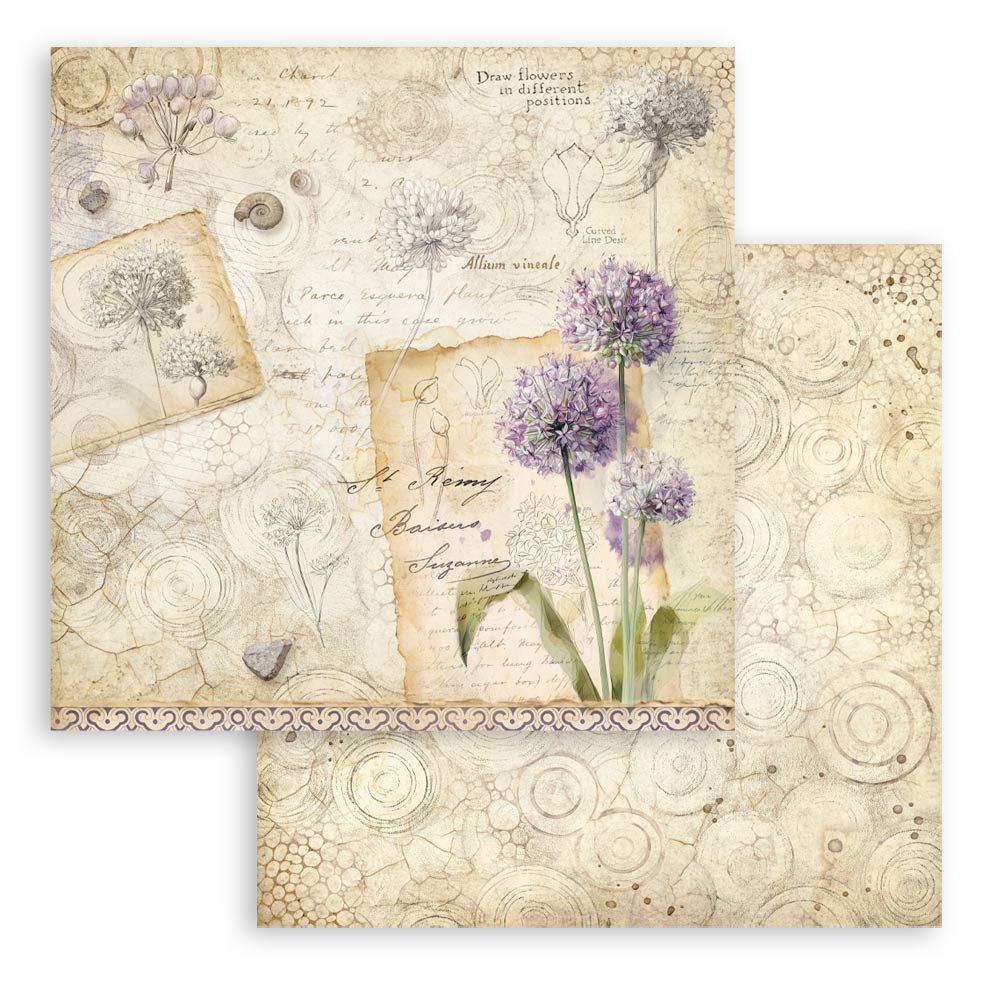 Carta Scrap All Around Allium Stamperia