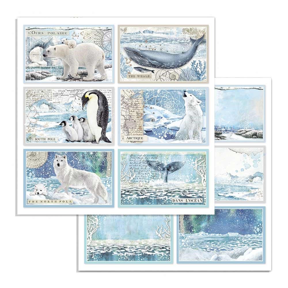 Carta Scrap Cards Arctic