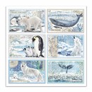 Carta Scrap Cards Arctic