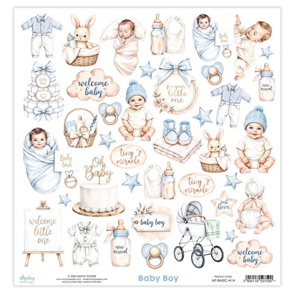 Carta Scrap Elements Baby Boy