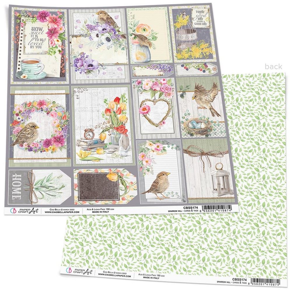 Carta Scrap Sparrow Hill Cards & Tags