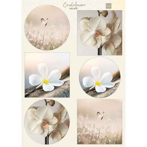 Carta da Découpage Condoleance Orchid