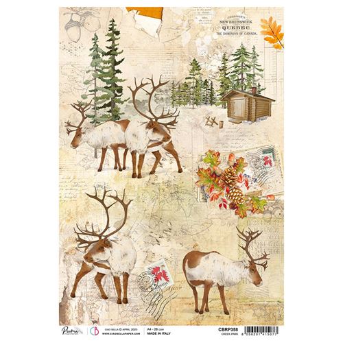 Carta di Riso Creek park A4