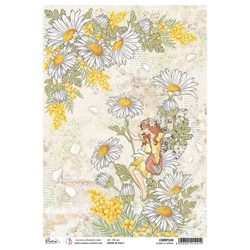 Carta di Riso Dasies in spring A4