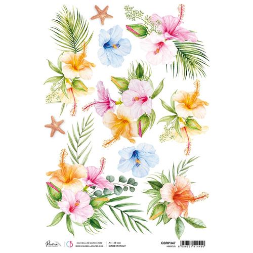 Carta di Riso Hibiscus A4