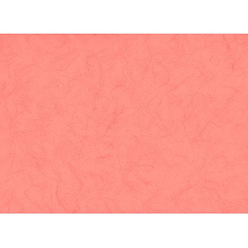 Fogli Colorati Lisci A4 Rosa Fenicottero, Risme da 50ff da185gr - Made in  Europe