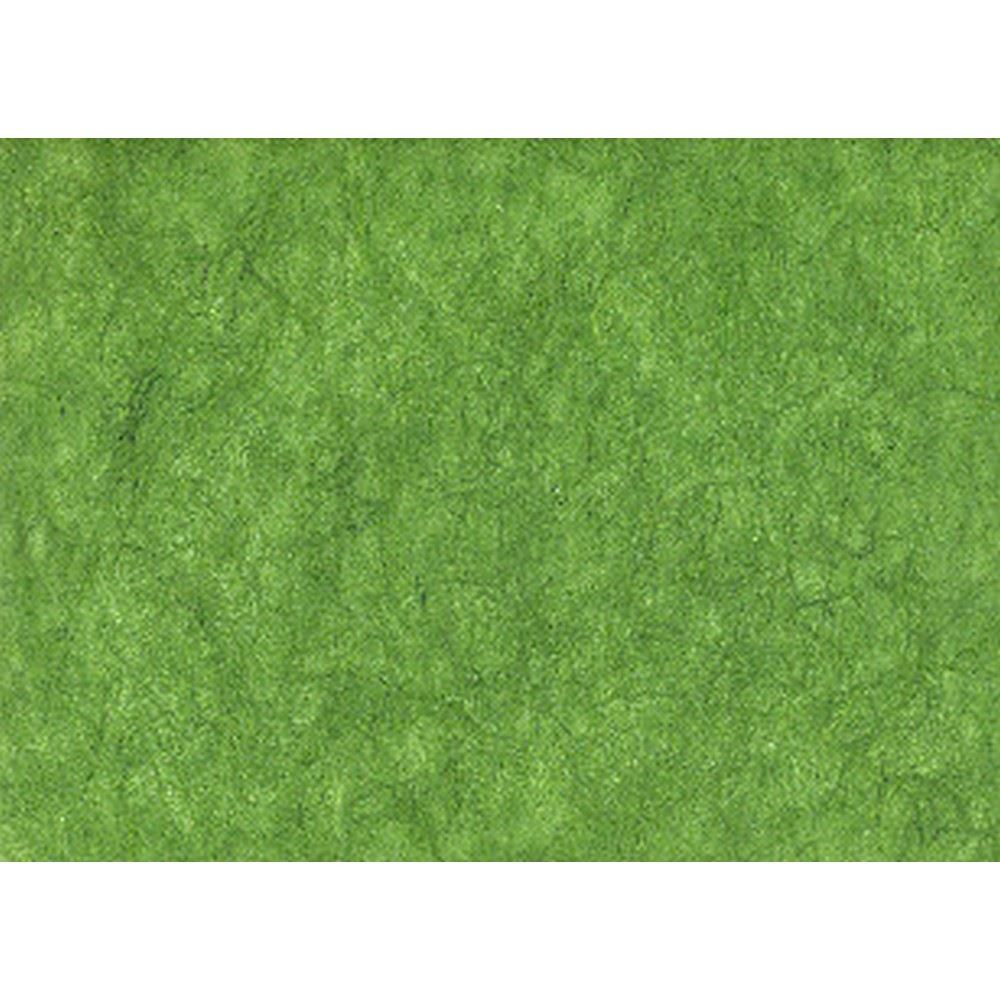 Carta di Riso colore Muschio